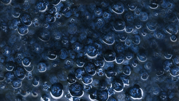 新鲜蓝莓库存照片图片下载