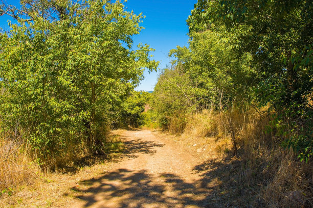 罗塞勒考古区附近的景观图片下载