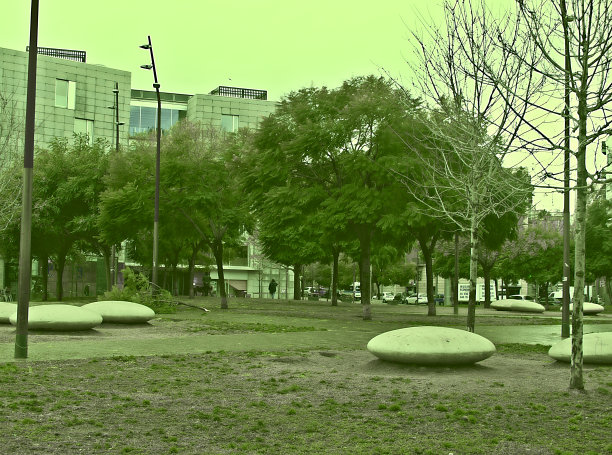 市区公园里有动物散步图片下载