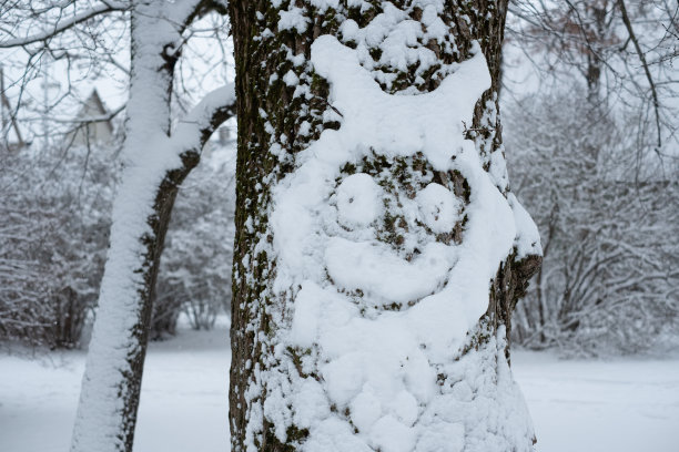 一棵大树干上有趣的雪艺术人物图片下载