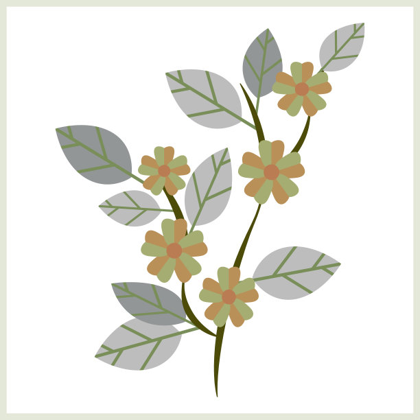 向量花，苹果花图案。图片下载