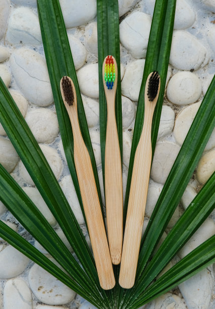 天然可生物降解的竹子，不同颜色的牙刷在热带棕榈叶上。零废物、可持续、环保、无塑料的生活方式图片下载