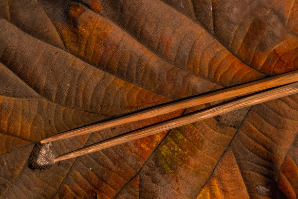 木制筷子上的棕色叶子自然背景。可重复使用的环保厨房用品。零浪费、可持续、无塑料的生活方式图片下载