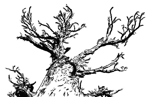 树筒仓图片下载