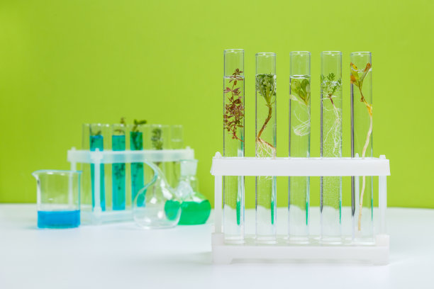 试管天然化妆品来自植物和花卉的有机产品，皮肤护理的草药化妆品图片下载