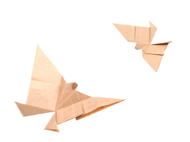 蝴蝶折纸图片下载