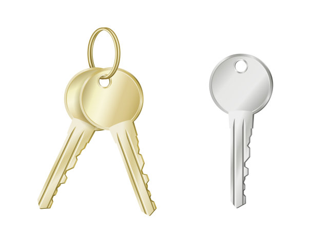 现实的钥匙在金和银。钥匙链隔离在白色背景图片下载