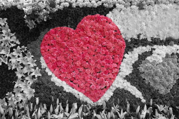 黑白背景的心花图片下载