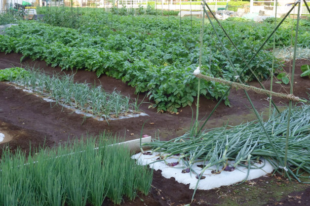 农场风景出租图片下载