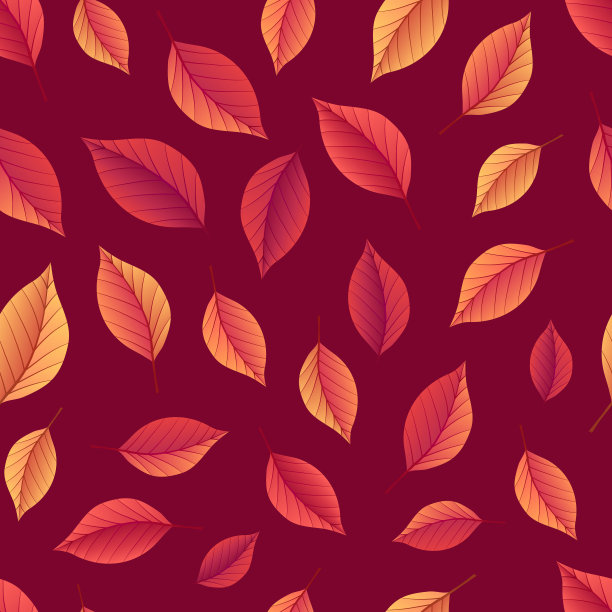 秋天无缝背景图案/纹理与明亮的秋天树叶。图片下载