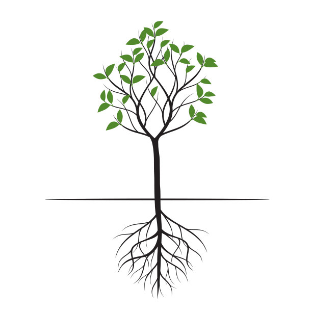 树的形状，有叶子和根。矢量插图轮廓。植物在花园。图片下载