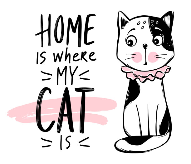 矢量可爱的猫插图。手绘时髦的小猫。嘟嘟猫。图片下载