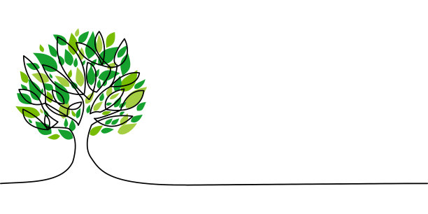 在白色背景上孤立的绿叶树。图片下载