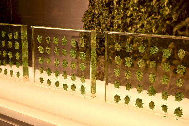 啤酒厂的胚芽小麦。图片下载