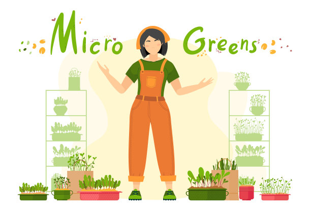 Microgreen。女孩长出了微绿色的芽图片下载