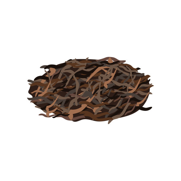 普洱茶松为中国茶道上的白色背景。亚洲传统的黑色叶，在花柱上孤立图片下载