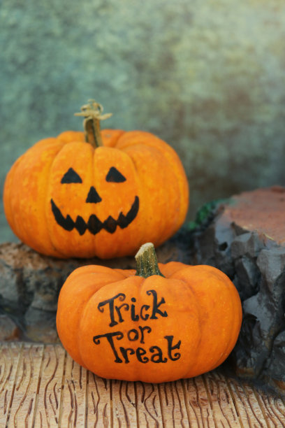 图片南瓜头旁边的Trick or Treat万圣节信息，可怕的万圣节脸杰克O'Lantern在一个塑料模型摇滚场景图片下载