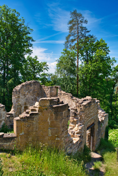 森林中的砂岩废墟图片下载