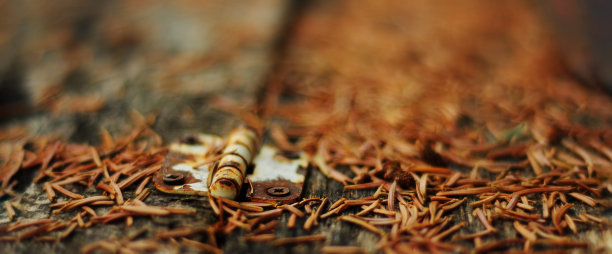 生锈的旧家具在秋天的松针里打结图片下载