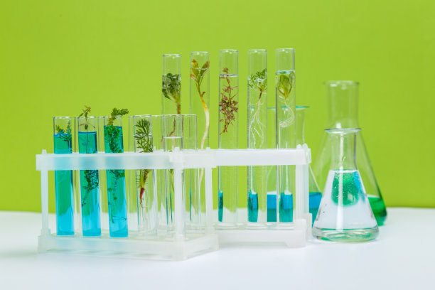 试管天然化妆品来自植物和花卉的有机产品，皮肤护理的草药化妆品图片下载