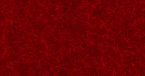 冠状病毒细胞。引起呼吸道感染的一组病毒。3D渲染3D插图3D渲染图片下载