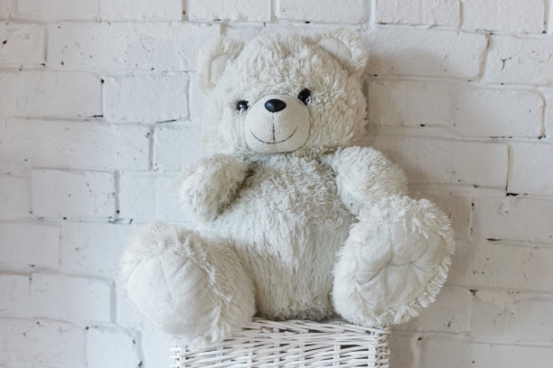 白色的泰迪熊图片下载