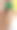 三叶草就像女孩的耳环。圣帕特里克节的概念。图片下载