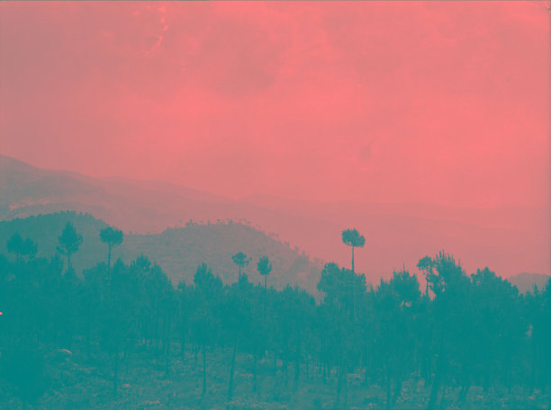 多山的森林景观与平坦的颜色图片下载