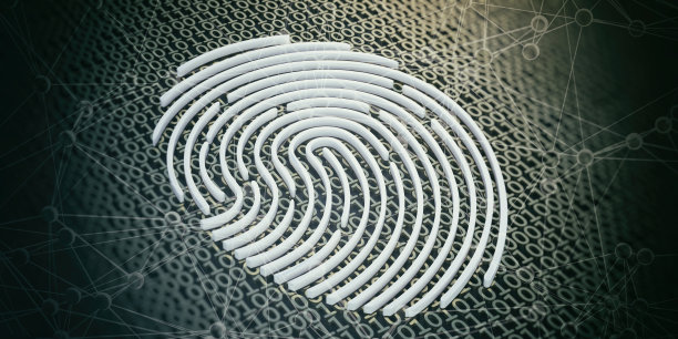 指纹对二进制代码的背景。数字识别标识概念。三维演示图片下载