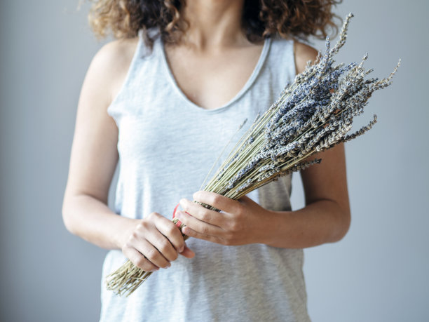 一束薰衣草图片下载