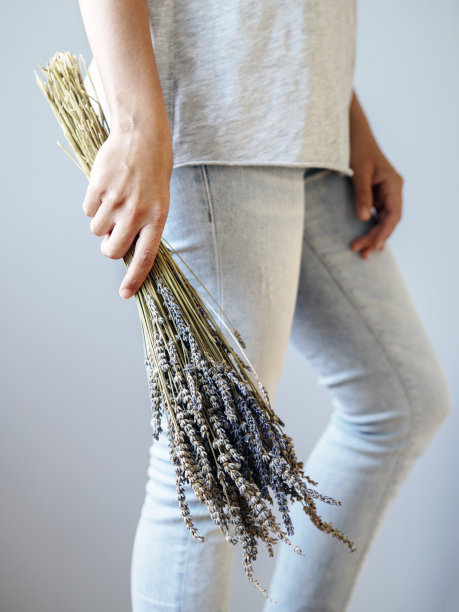 一束薰衣草图片下载