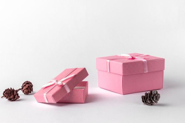 两个粉色礼盒带丝带，蝴蝶结和锥形孤立在白色或浅灰色背景，自然阴影，侧视图。圣诞礼物的概念图片下载