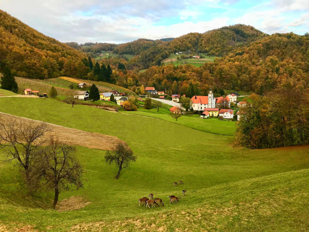 斯洛文尼亚田园风光，绿草如茵的小山，秋天的森林，美丽的山村，放牧的鹿在草地上。宁静，天堂，冥想，平和的自然。Podcetrtek隐藏的天堂。图片下载
