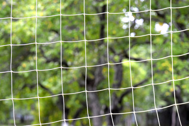 排球网和绿色的森林，抽象的照片背景。运动和主动娱乐的概念。假期的概念。美丽的风景。暑假图片下载