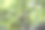 排球网和绿色的森林，抽象的照片背景。运动和主动娱乐的概念。假期的概念。美丽的风景。暑假图片下载