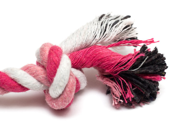 绳线玩具狗，孤立在白色背景图片下载