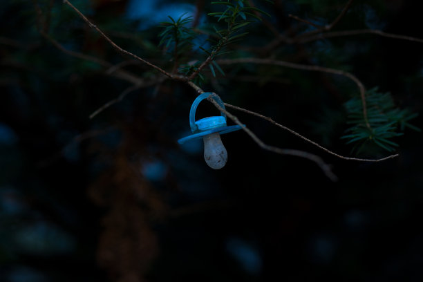 蓝色的婴儿奶嘴，肮脏而被遗忘挂在黑暗的森林的树枝上，肮脏而被遗弃，婴儿失踪图片下载