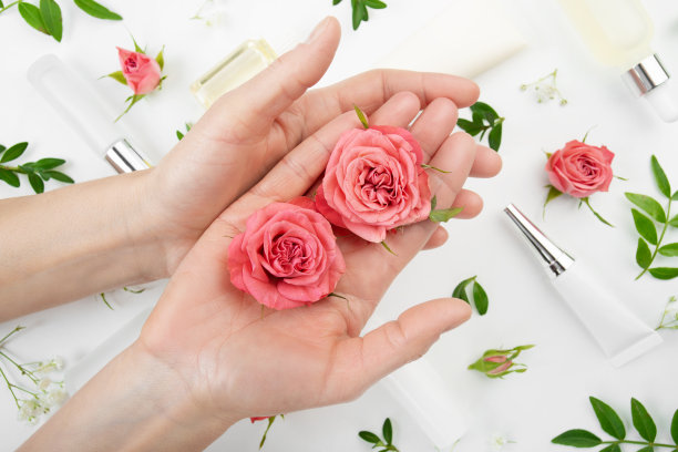 玫瑰花蕾白种人模特的手在白色的背景与化妆品瓶，管和滴管图片下载