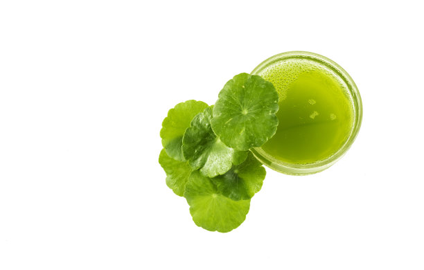 戈图科拉果汁图片下载