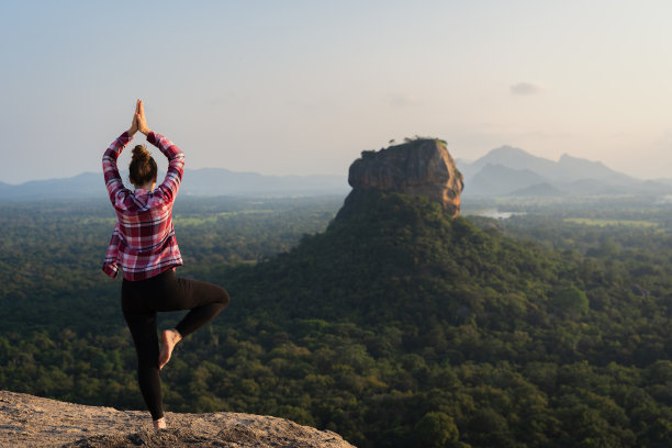 在锡吉里耶观赏狮子岩的游客图片下载