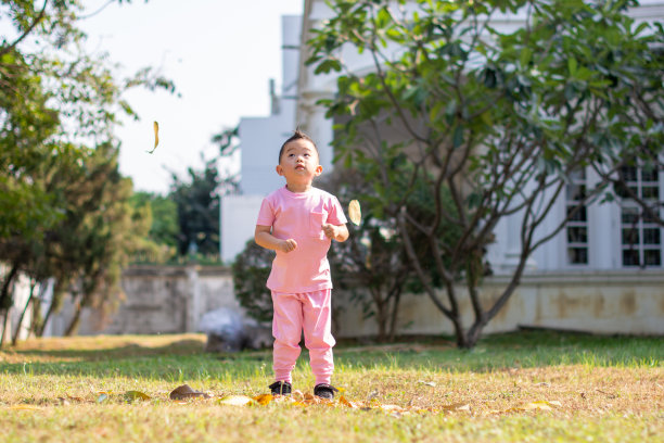 过年的小男孩在五颜六色的粉红色玩叶向上看图片下载