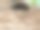 一幢旧木屋的阁楼窗户上装饰着木雕碎片图片下载