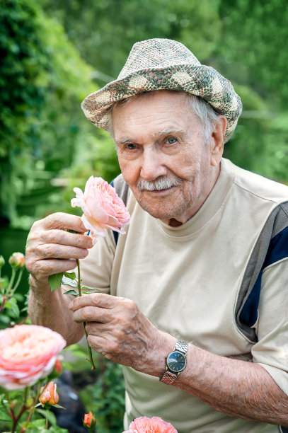 一个英俊的87岁老人的肖像，在他的花园里种植玫瑰。园艺和花卉栽培。幸福的时代图片下载