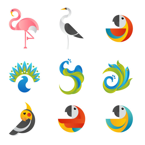 奇异鸟图片下载