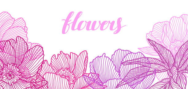 背景与线形牡丹。图片下载