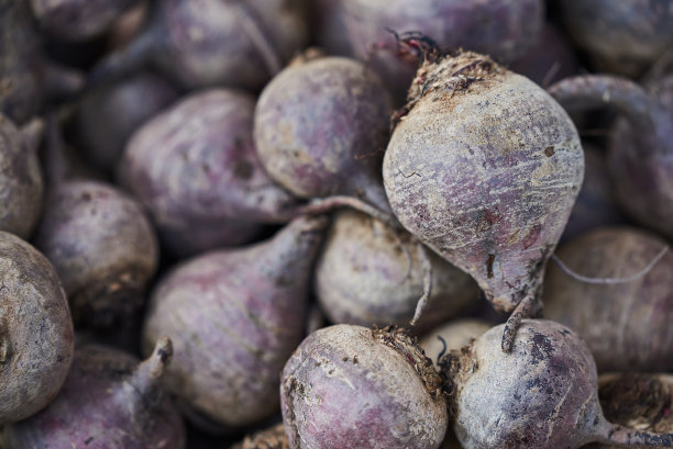 紫罗兰甜菜即将上市图片下载