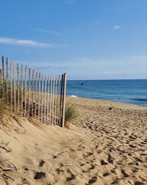 北卡罗莱纳的沙丘图片下载