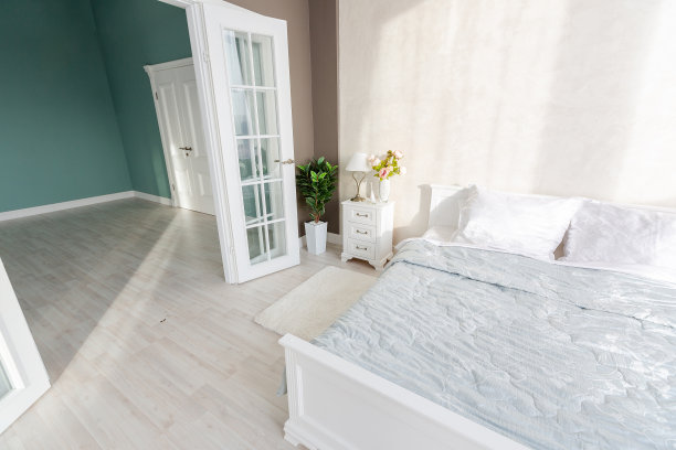 豪华和昂贵的室内开放的公寓在浅色。图片下载