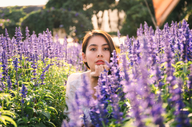 年轻的亚洲女人在白色连衣裙享受在薰衣草田上的阳光图片下载