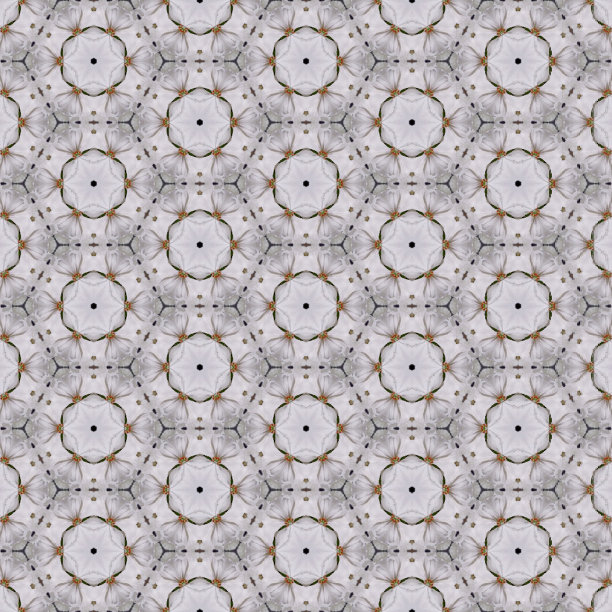 背景和壁纸图片下载